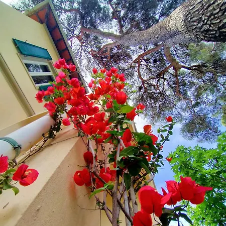 דירה La Casa Bianca Di Fronte Al Mare קסטיליאונצ'לו